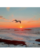 Essaouira