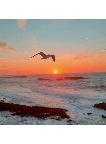 Essaouira