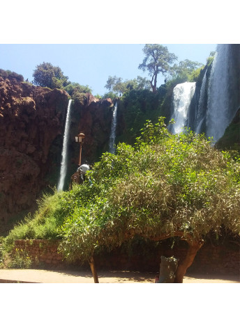 Cascade D'Ouzoud