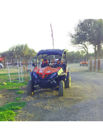 buggy in palmeraie