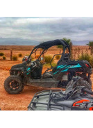 buggy in palmeraie