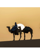 Camel in Agafay