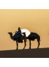 Camel in Agafay