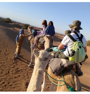 group travel